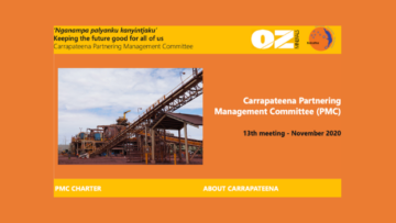 PMC Newsletter November 2020