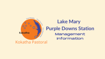 Lake Mary - Purple Downs Station Info