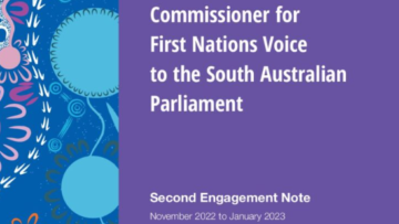 FIRST NATIONS VOICE BILL