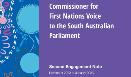 FIRST NATIONS VOICE BILL