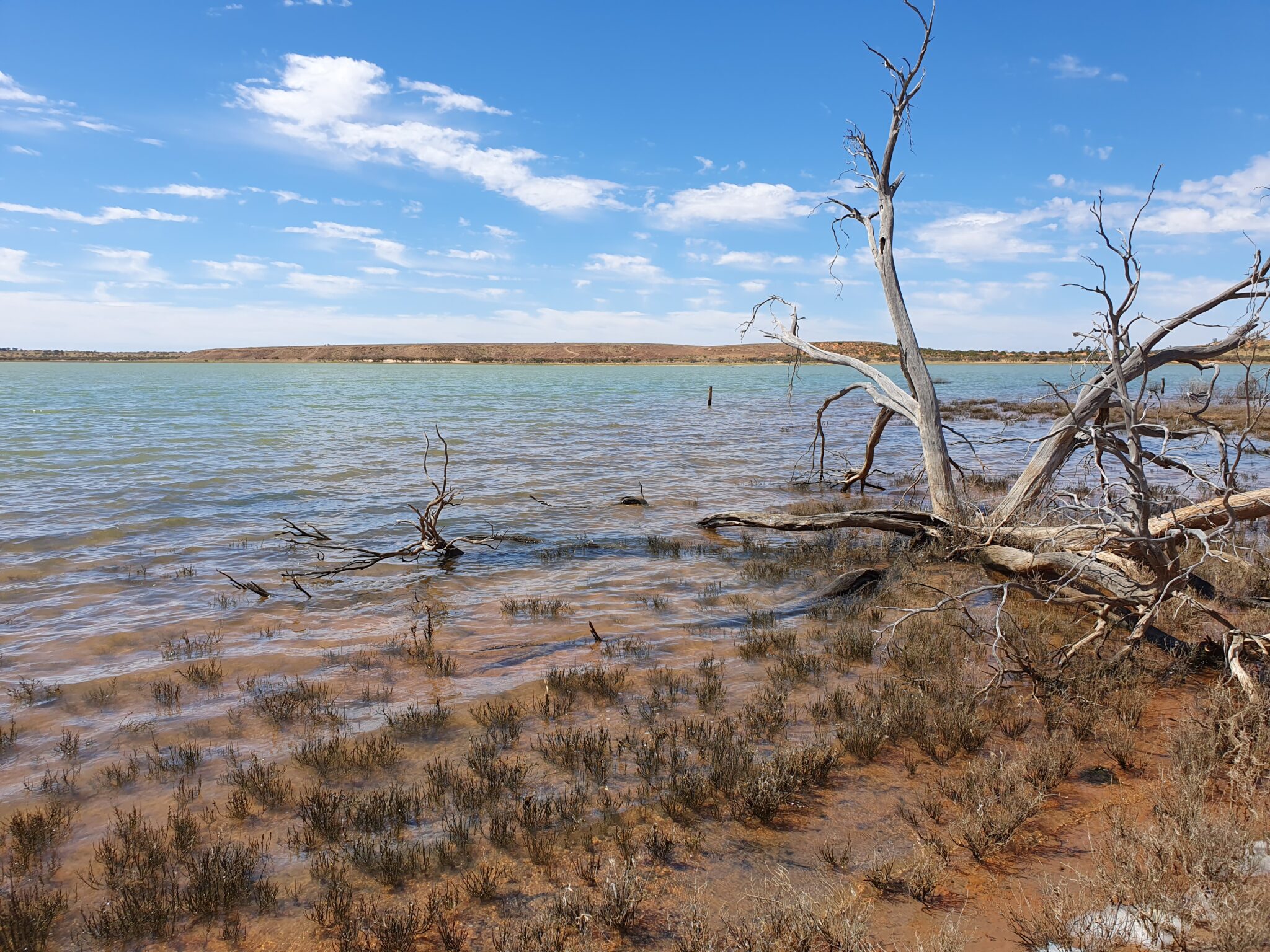 Home | Kokatha Aboriginal Corporation | Port Augusta