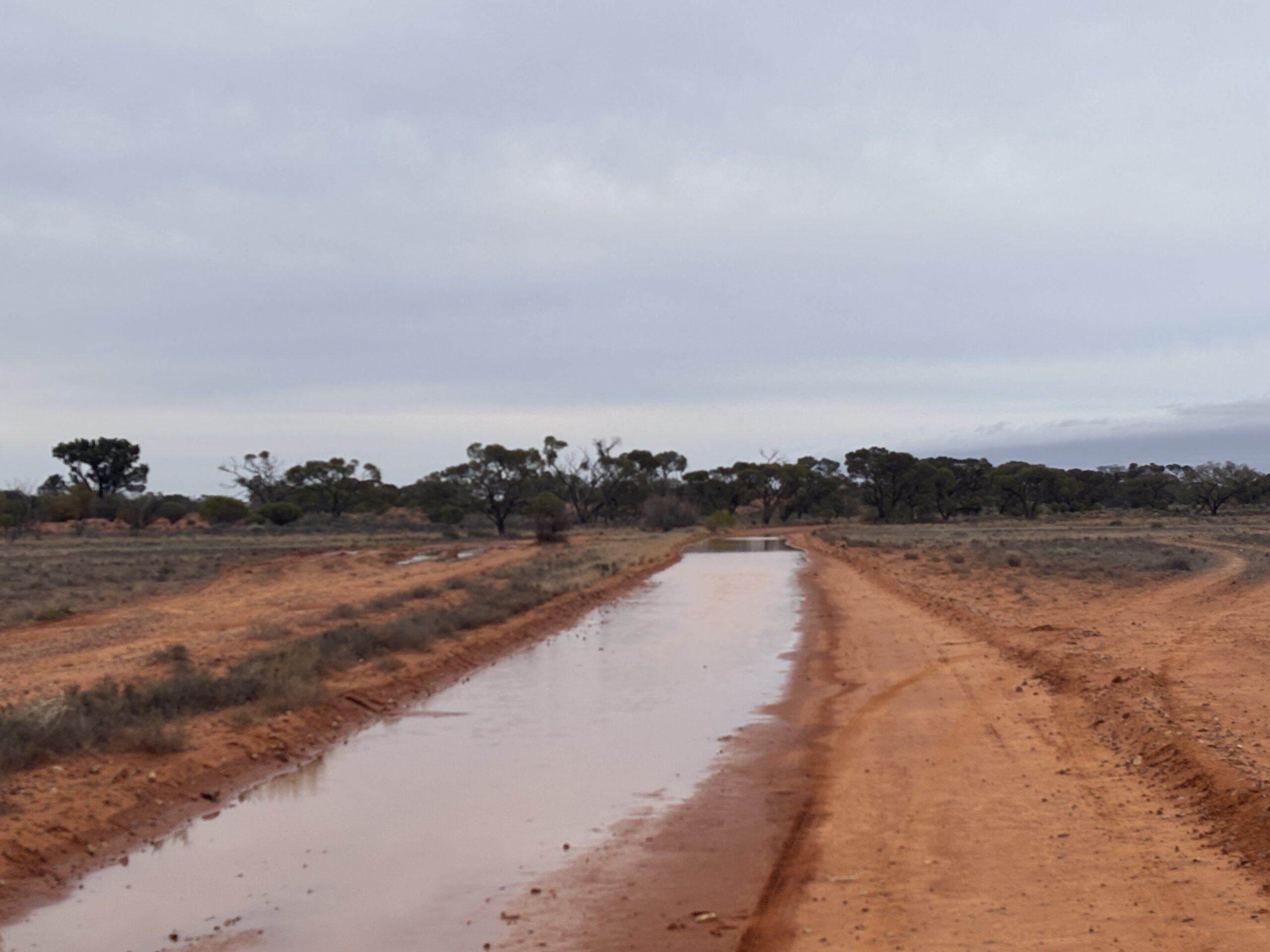 RAIN ON KOKATHA COUNTRY