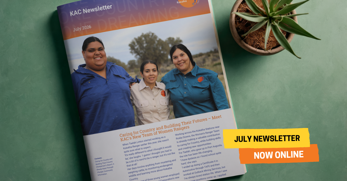 JULY NEWSLETTER NOW ONLINE