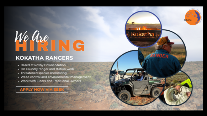 WE'RE HIRING | KOKATHA RANGERS