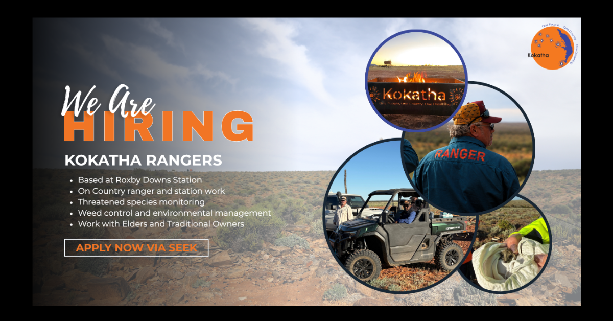WE’RE HIRING | KOKATHA RANGERS